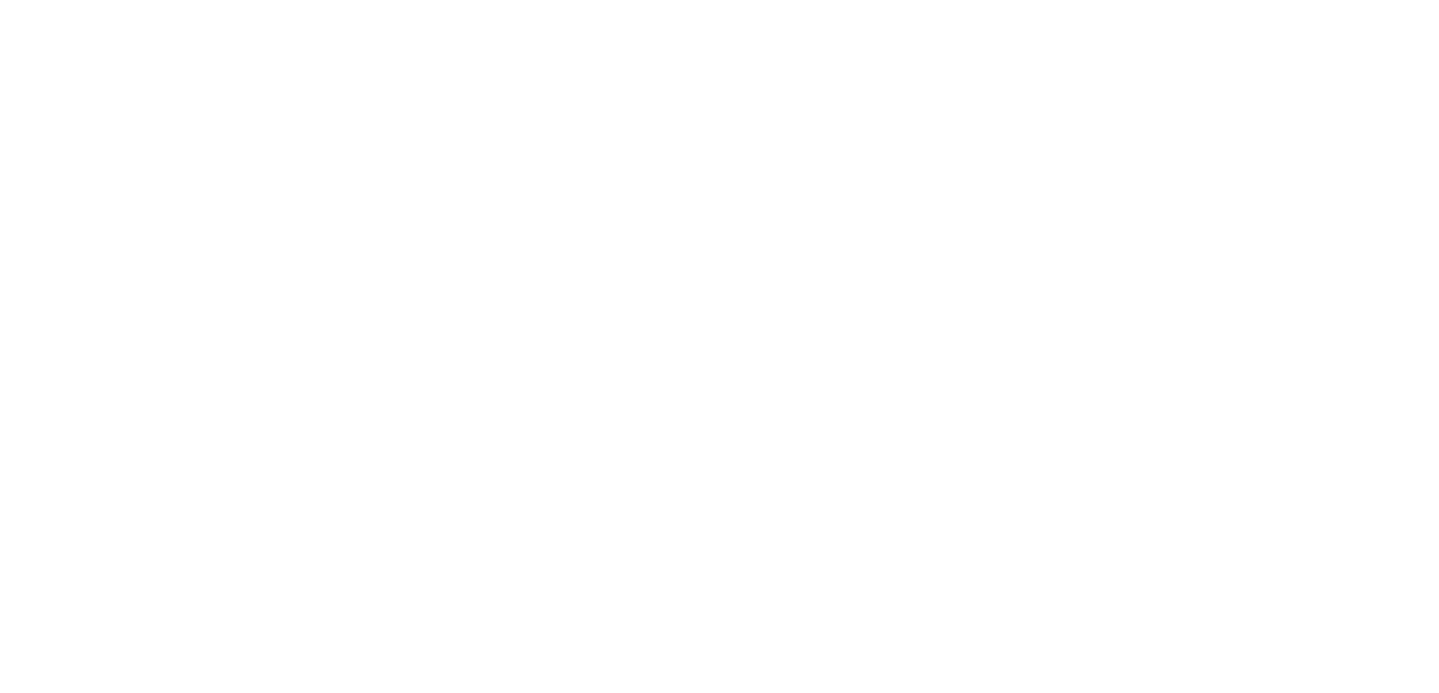 Vibess on Tour